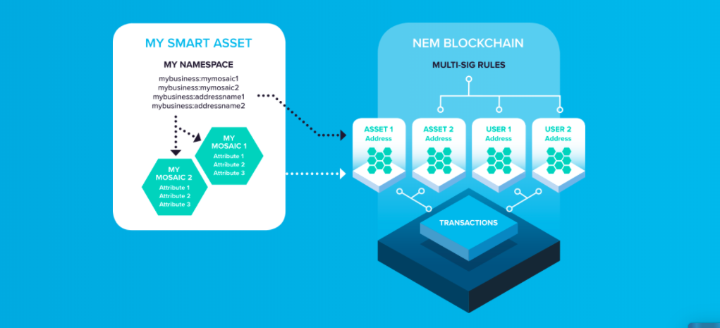 NEM and XEM what's what?