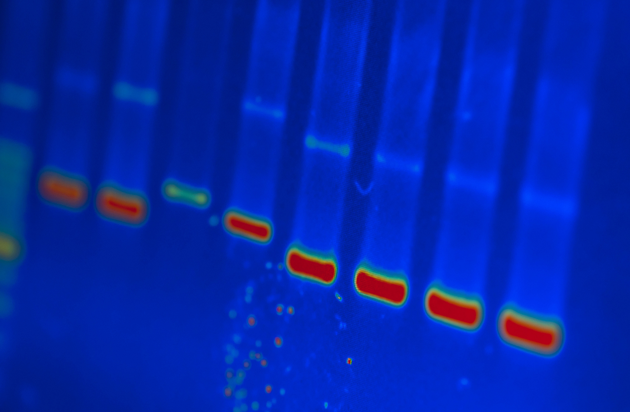 This Company Is Helping You Get Paid For Your Genetic Data ...