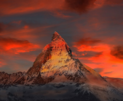 Tron TRX Binance